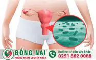 da khoa hong phuc