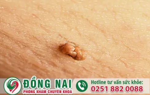 da khoa hong phuc