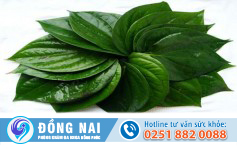 Bài thuốc chữa trĩ bằng lá trầu không