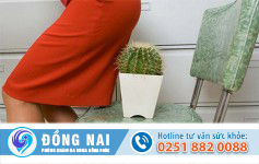 Lòi dom là bệnh gì?