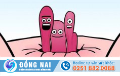 Dấu hiệu nhận biết bệnh trĩ