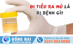 Đi tiểu ra mủ là bị bệnh gì?