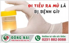 Tiểu ra mủ ở nữ giới là biểu hiện bệnh gì?