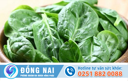 Cách chữa bệnh trĩ bằng rau mồng tơi có hiệu quả không?