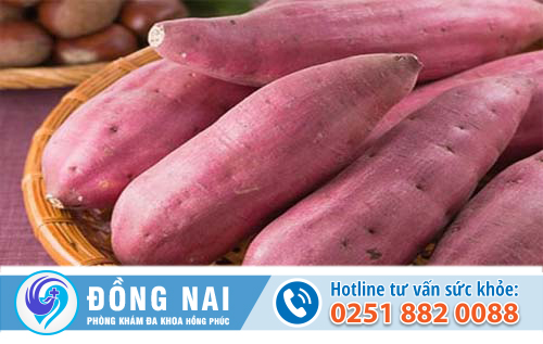 Mẹo chữa trĩ bằng khoai lang có hiệu quả không?