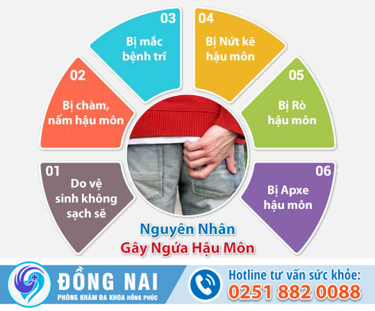 Triệu chứng ngứa hậu môn là bệnh gì?