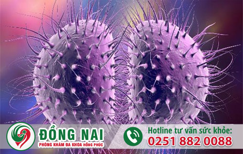 Bệnh lậu do vi khuẩn Neisseria Gonorrhoeae gây nên