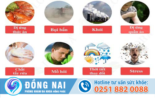 Nguyên nhân gây chàm hậu môn