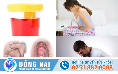 hiện tượng tiểu ra máu sau quan hệ