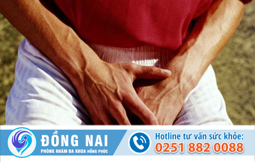 viêm dương vật