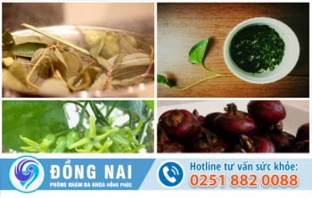 Chữa trị bệnh trĩ bằng thuốc nam hiệu quả không?