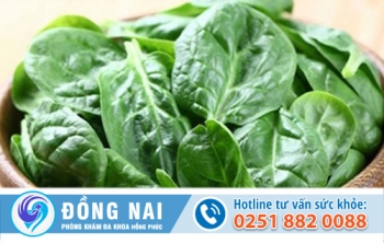 Cách chữa bệnh trĩ bằng rau mồng tơi có hiệu quả không?